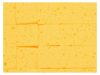 YATO Fugázó szivacs irdalt 270 x 130 x 40 mm