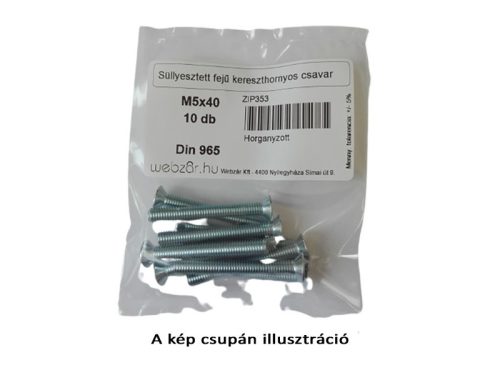 Süllyesztett fejű kereszthornyos csavar M5x20 (10 db)