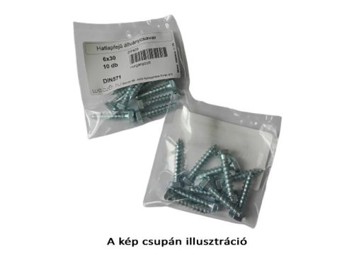 Hatlapfejű Állványcsavar 6x50 (10 db)